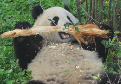 别样的风味