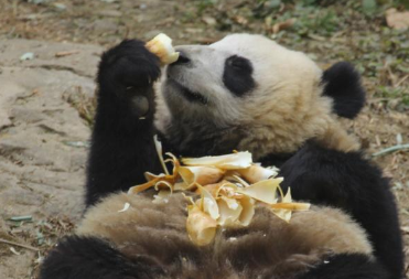 福笙的四季食单